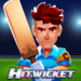 Hitwicket Cricket Game 2024.png