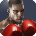 Punch Boxing 3d.png